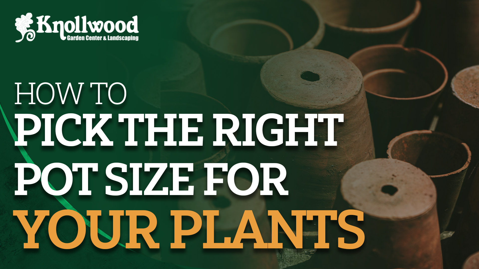 How to Pick the Right Pot Size for Your Plants